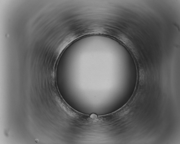 X0000103231234200809041018