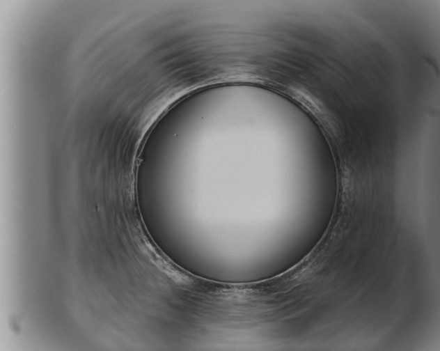 X0000103231236200809041018