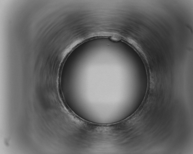 X0000103231237200809041018