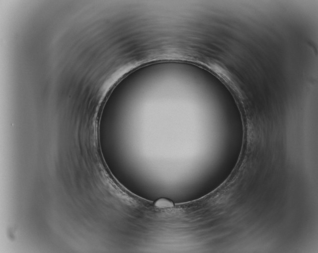 X0000103231238200809041018