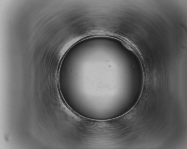 X0000103231239200809041018