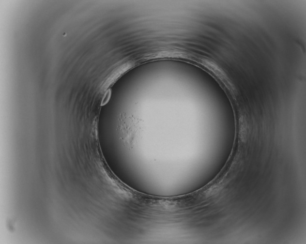 X0000103231241200809041018