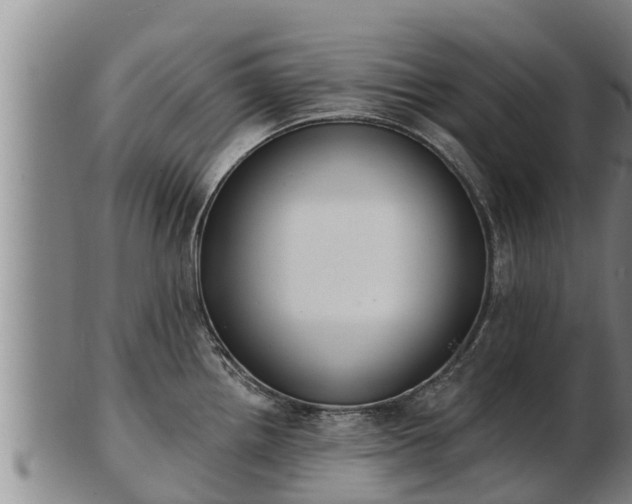 X0000103231242200809041018