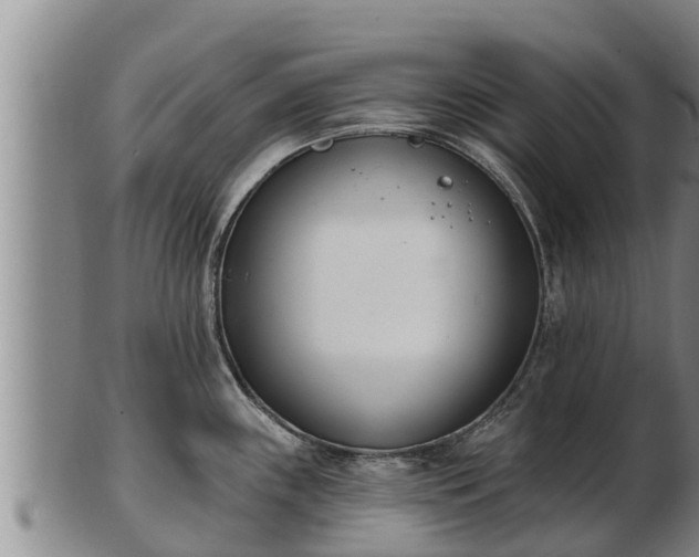 X0000103231243200809041018