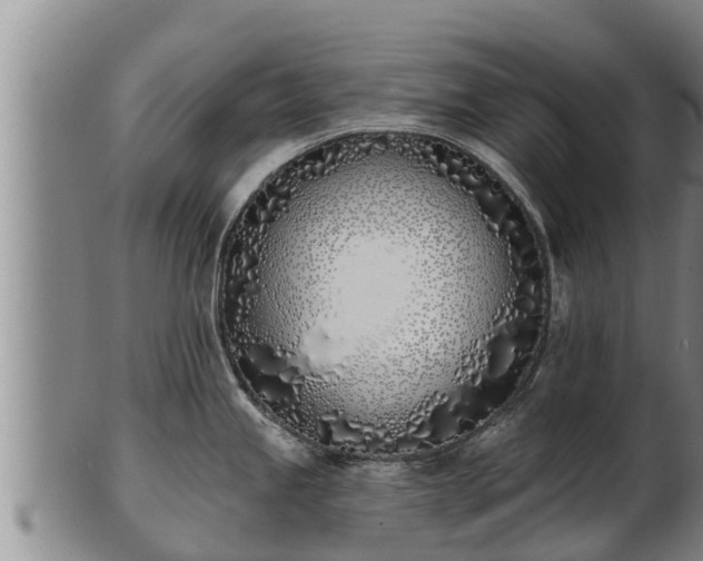 X0000103231245200809041018