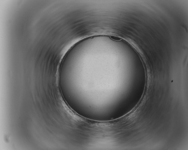 X0000103231246200809041018