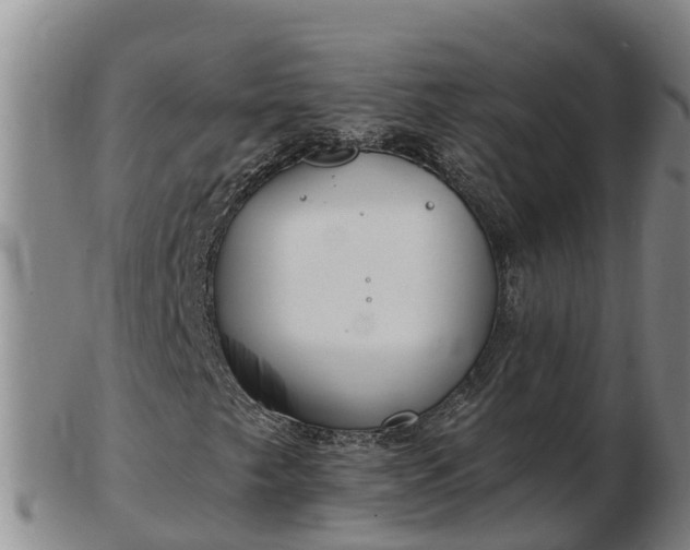X0000103231249200809041017