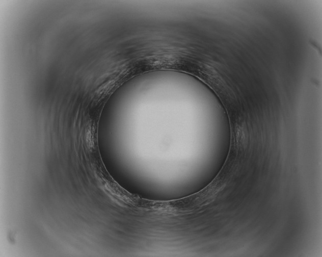 X0000103231250200809041017