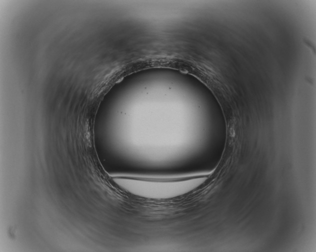 X0000103231252200809041017