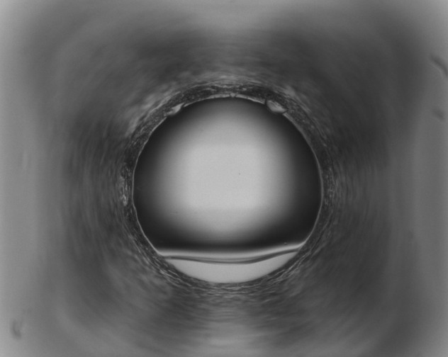 X0000103231253200809041017