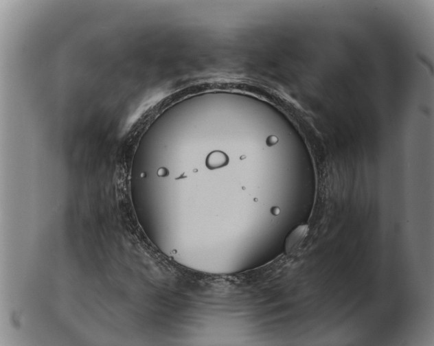 X0000103231255200809041017