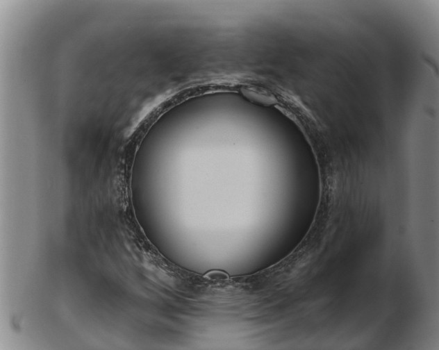 X0000103231256200809041017