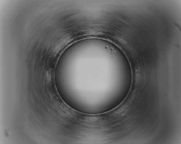 X0000103231257200809041017