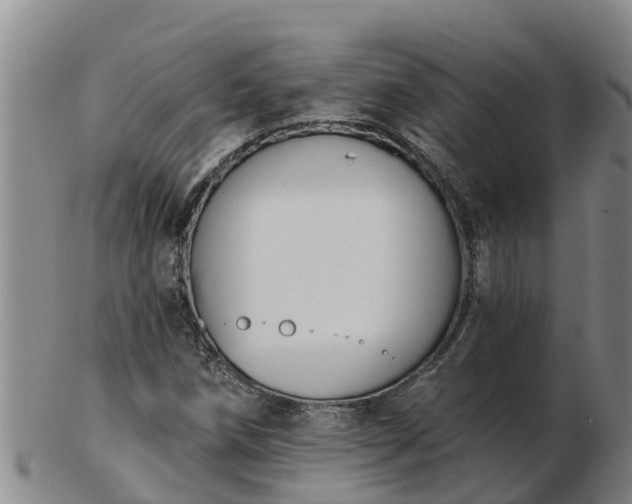 X0000103231258200809041017