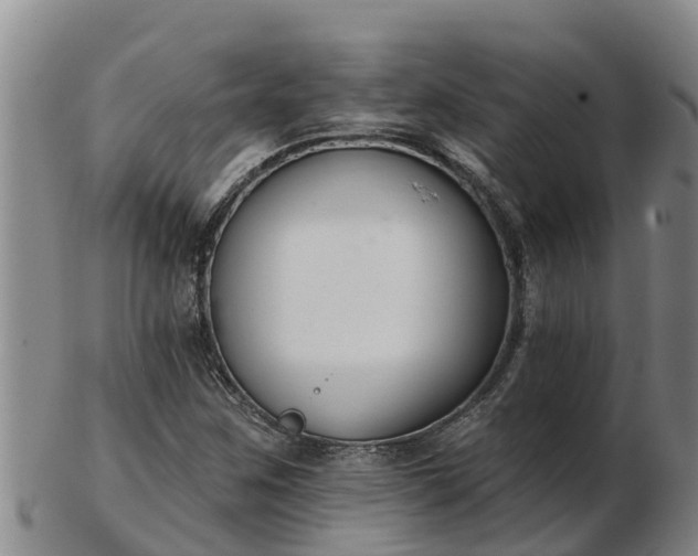 X0000103231259200809041017