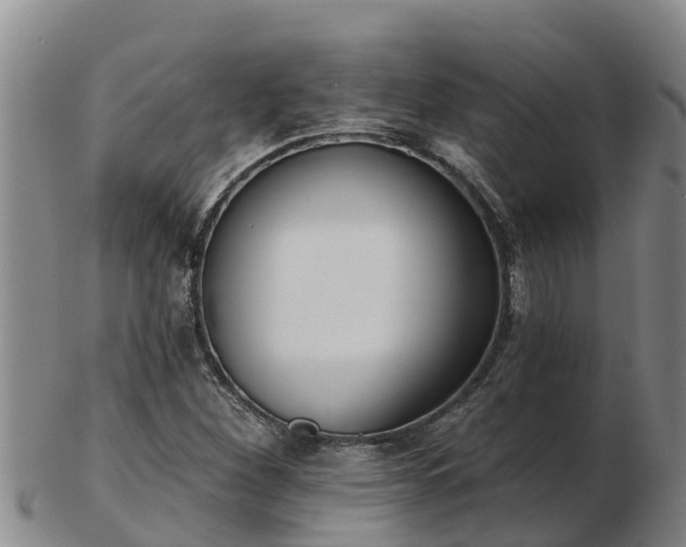 X0000103231260200809041017
