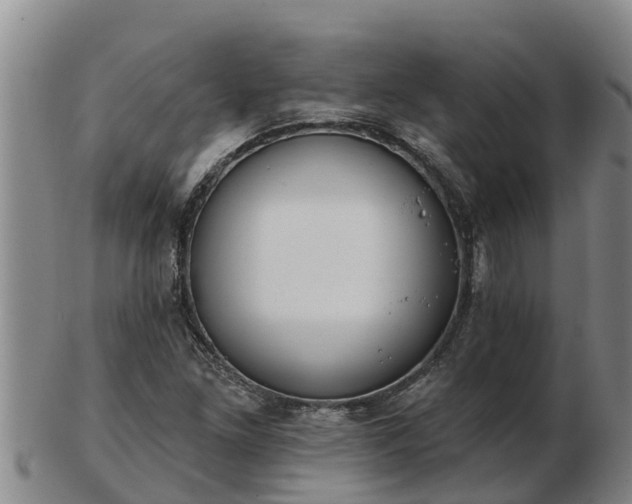 X0000103231261200809041017