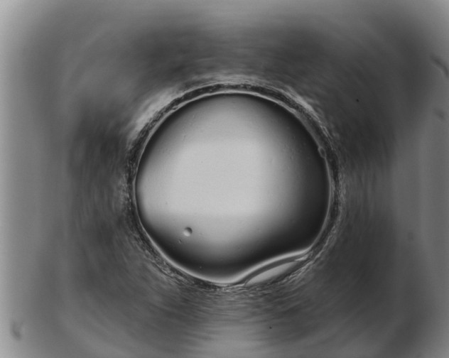 X0000103231263200809041017