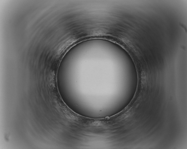 X0000103231265200809041017