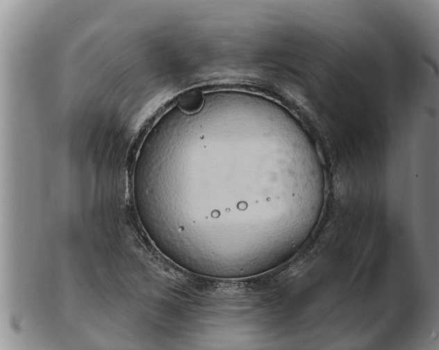 X0000103231267200809041017