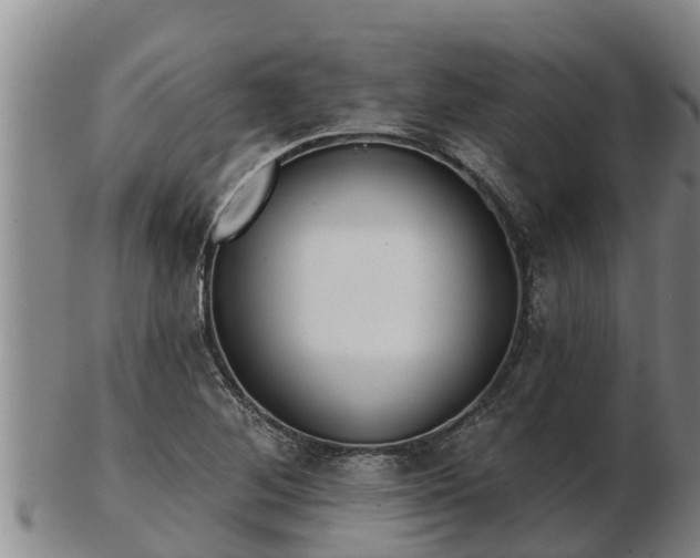 X0000103231268200809041017