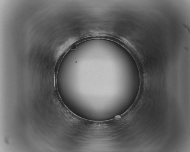 X0000103231269200809041017