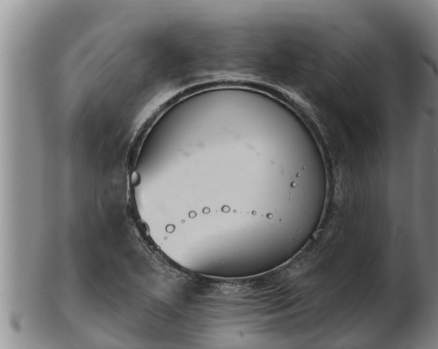 X0000103231271200809041017
