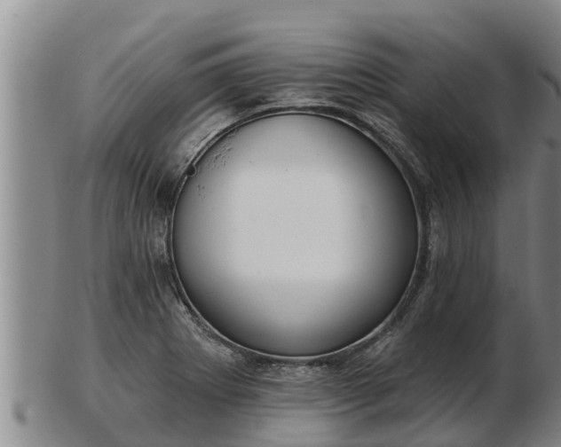 X0000103231273200809041017