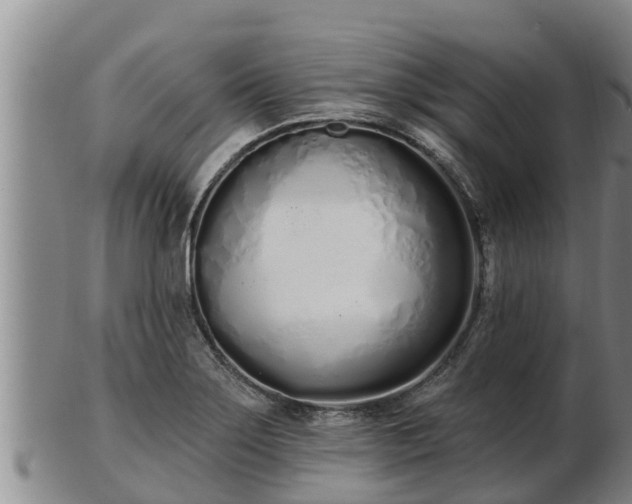 X0000103231275200809041017