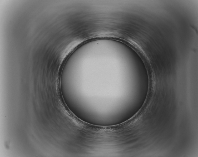 X0000103231277200809041017