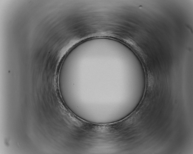 X0000103231278200809041017