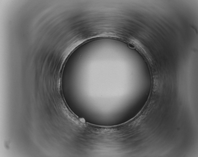 X0000103231284200809041017