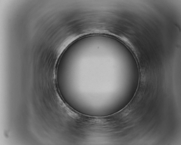 X0000103231287200809041017