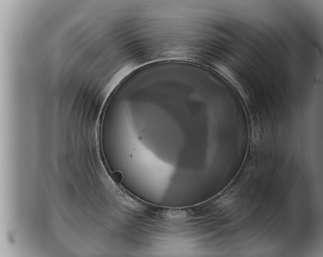 X0000103231291200809041016