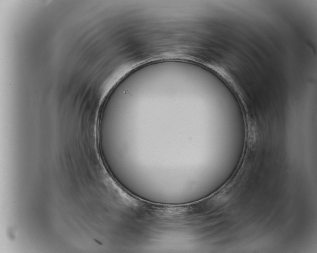 X0000103231294200809041016