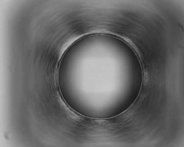 X0000103231295200809041016
