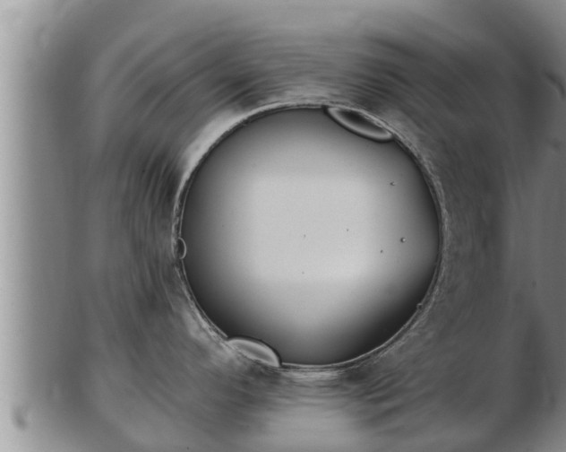 X0000103231296200809041016
