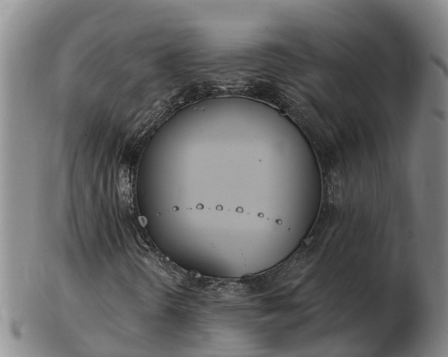 X0000103231298200809041016
