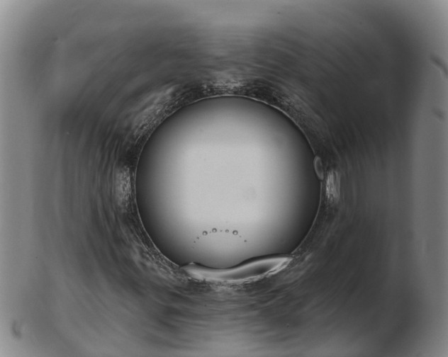 X0000103231299200809041016