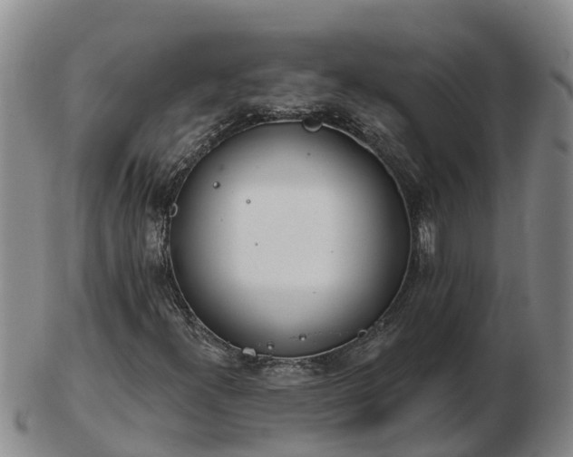 X0000103231300200809041016