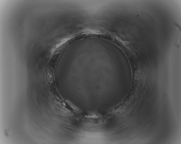 X0000103231303200809041016