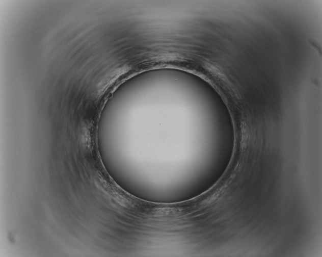X0000103231305200809041016