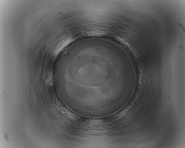 X0000103231306200809041016