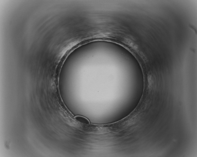 X0000103231308200809041016