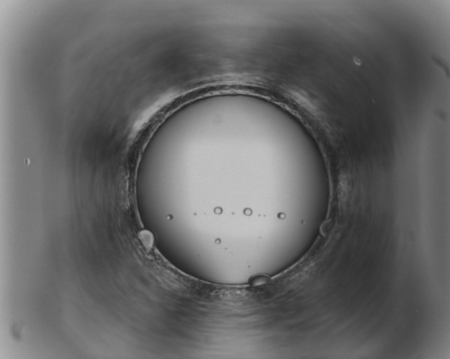 X0000103231310200809041016