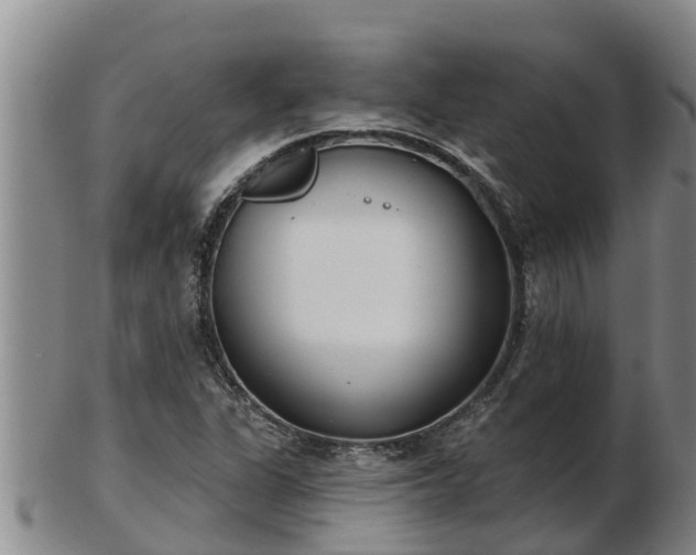 X0000103231311200809041016