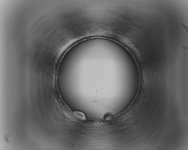 X0000103231316200809041016
