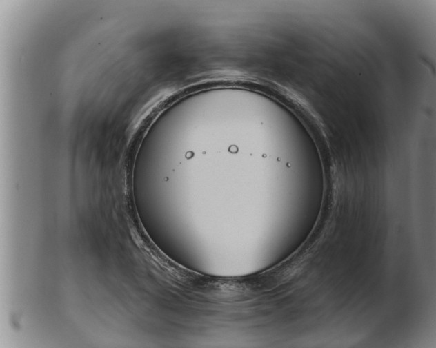 X0000103231318200809041016