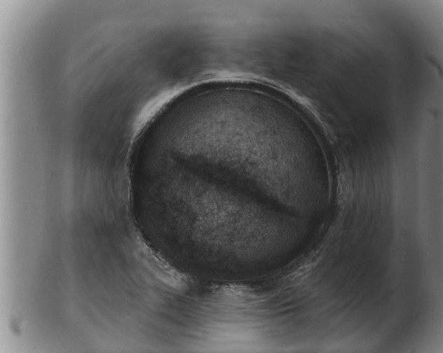 X0000103231319200809041016