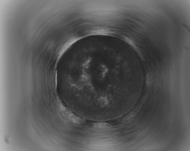 X0000103231323200809041016